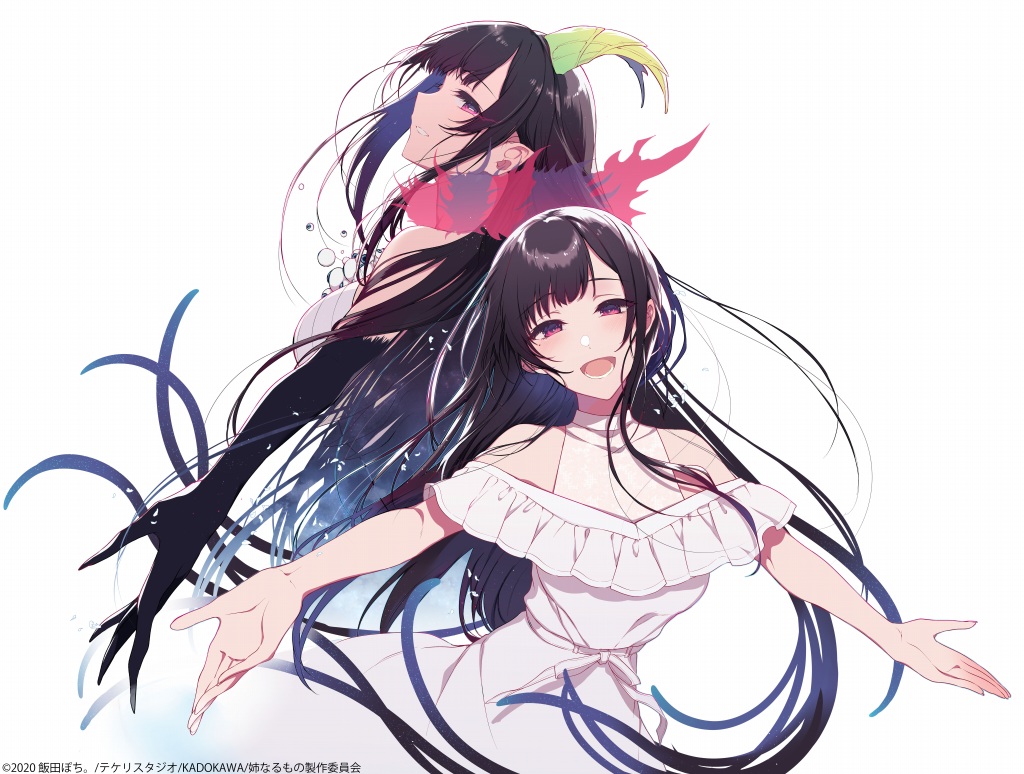 飯田ぽち のコミックス 姉なるもの 第4巻が1月10日に発売 2020年にovaとしてアニメ化も決定 Anime Recorder