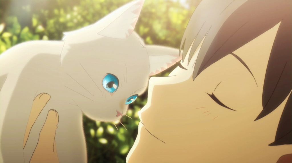 泣きたい私は猫をかぶる ヨルシカが主題歌に続き挿入歌も担当 佐藤監督は渾身のシーンに自信 Anime Recorder