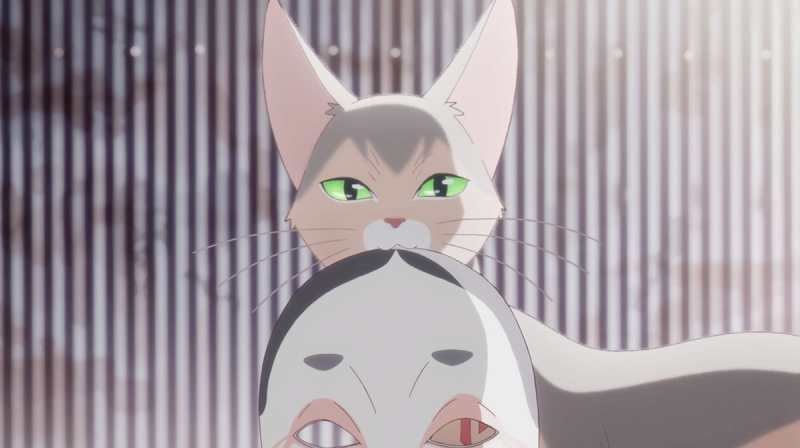 泣きたい私は猫をかぶる』猫たちが住む秘密の「猫島」PV公開。喜多村英梨、三木眞一郎、落合福嗣らが演じる猫住人の場面カットも - Anime  Recorder