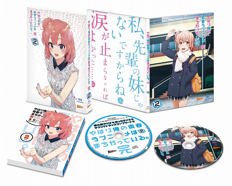 俺ガイル 完』Blu-ray第2巻より特典小説のあらすじが公開 | Anime Recorder
