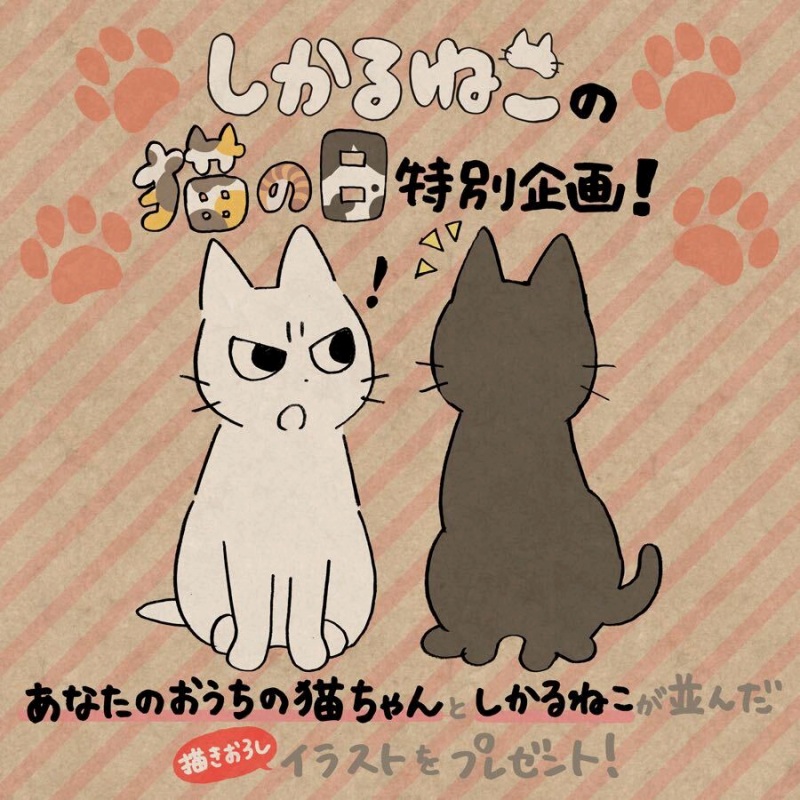 しかるねこ Tvミニアニメが21年春より放送 自宅の猫としかるねこが並んだイラストプレゼント企画がスタート Anime Recorder